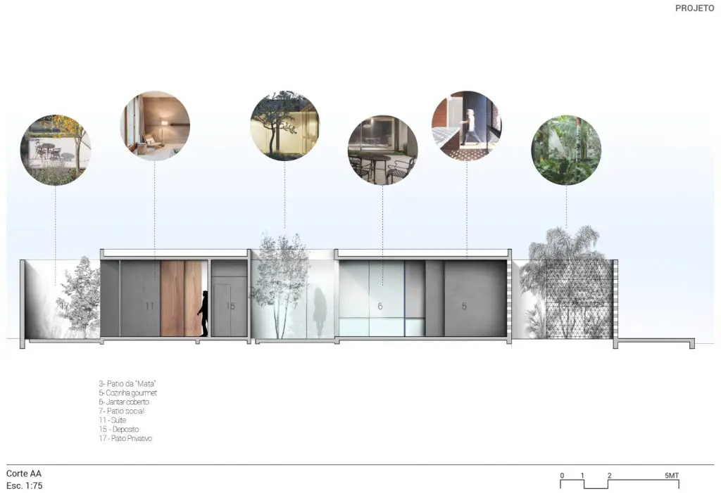 section Large
